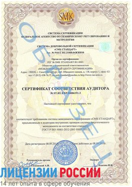 Образец сертификата соответствия аудитора №ST.RU.EXP.00006191-3 Пермь Сертификат ISO 50001